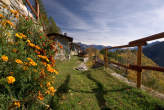 20061030_131013 Alpe Orlo.jpg